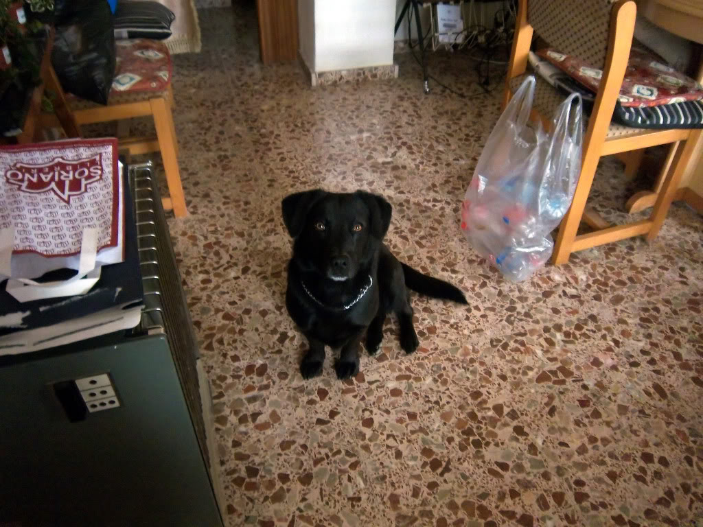 100_2031.jpg