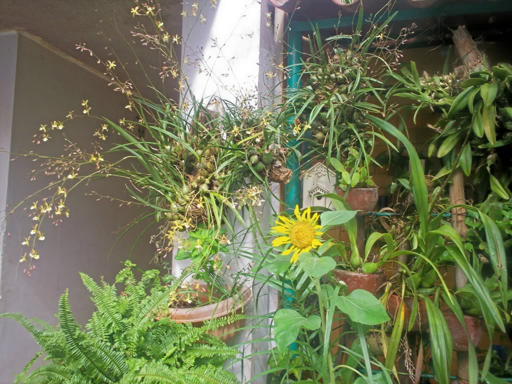 100_2086.jpg