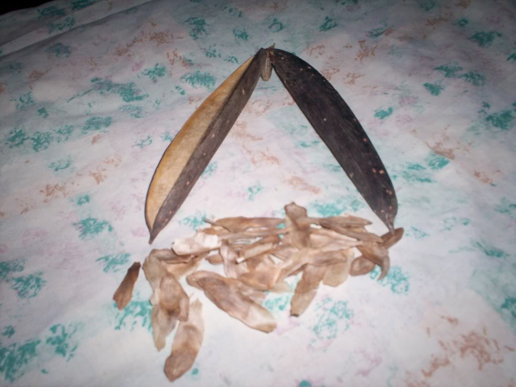 100_2100.jpg