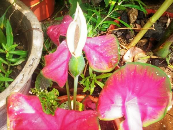 100_2138.jpg