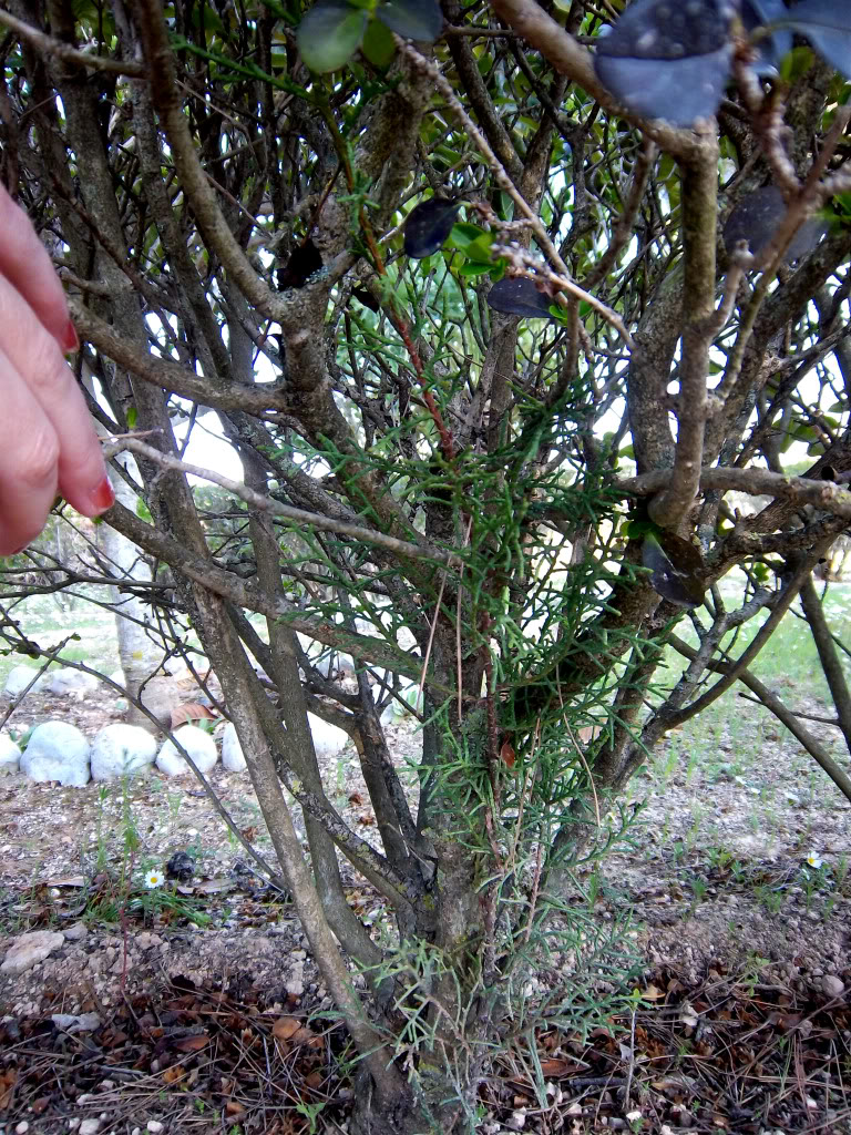 100_2206.jpg