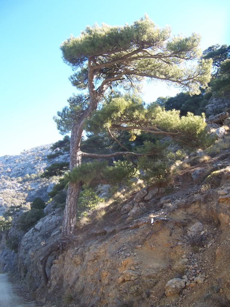 100_2208.jpg