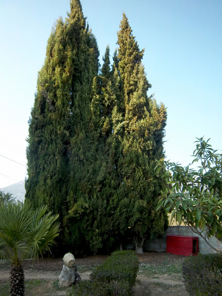 100_2208.jpg