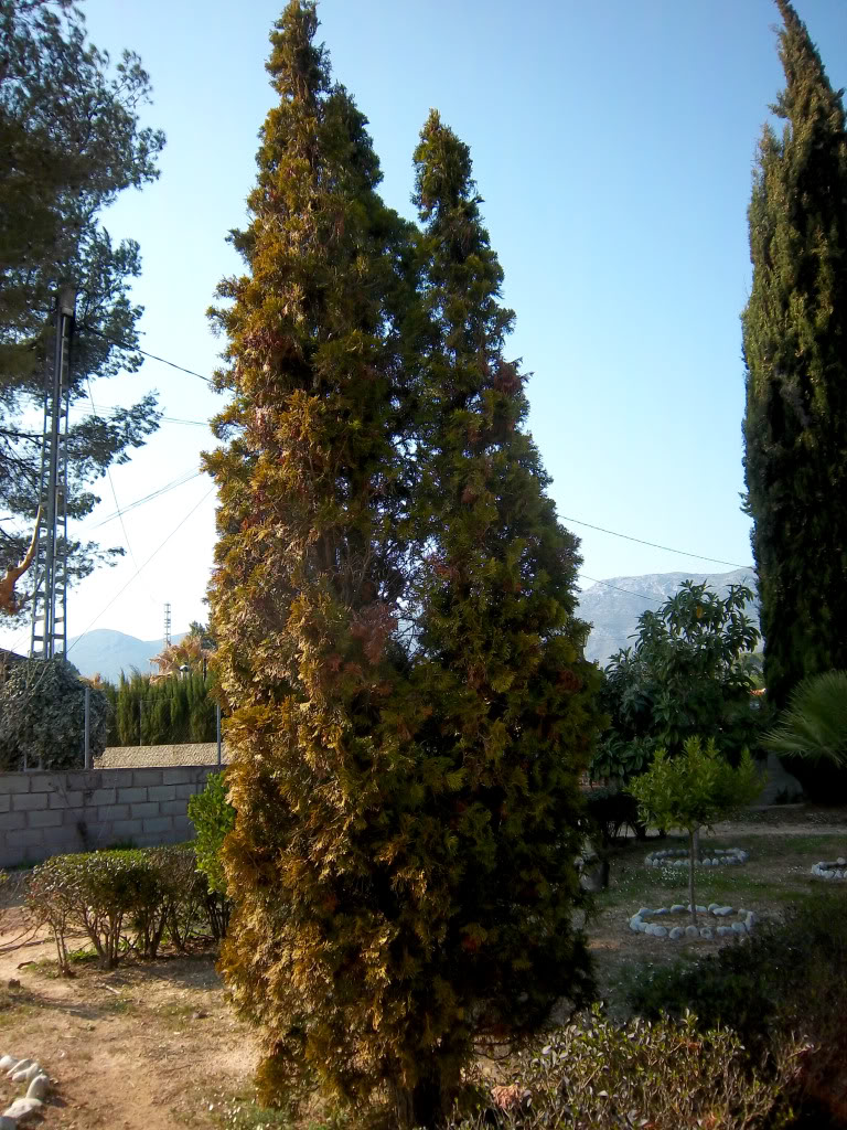 100_2211.jpg