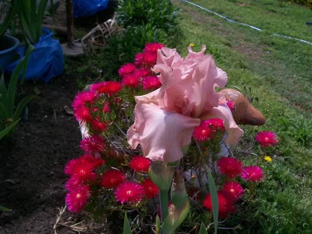 100_2297.jpg