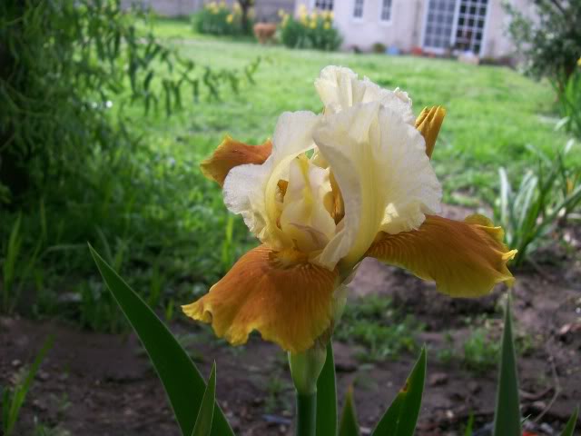 100_2310.jpg