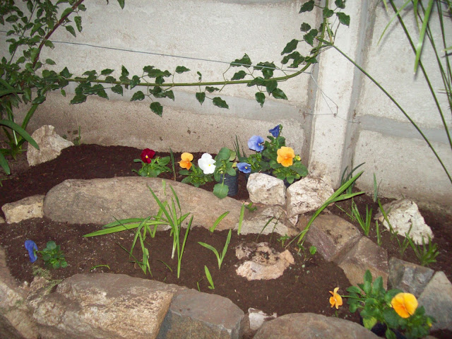 100_2339.jpg
