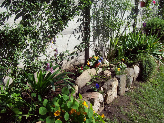 100_2363.jpg
