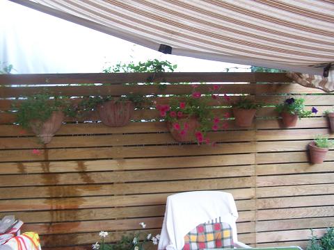 100_2383.JPG