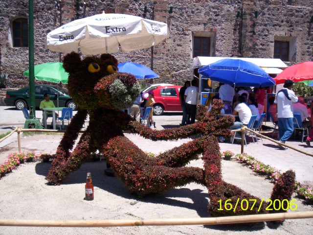 100_2408p.jpg