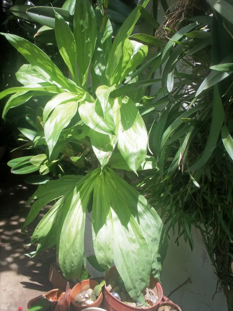 100_2456.jpg