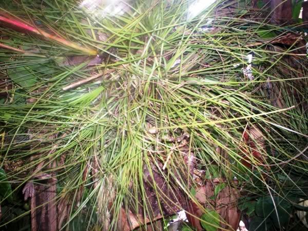 100_2480.jpg