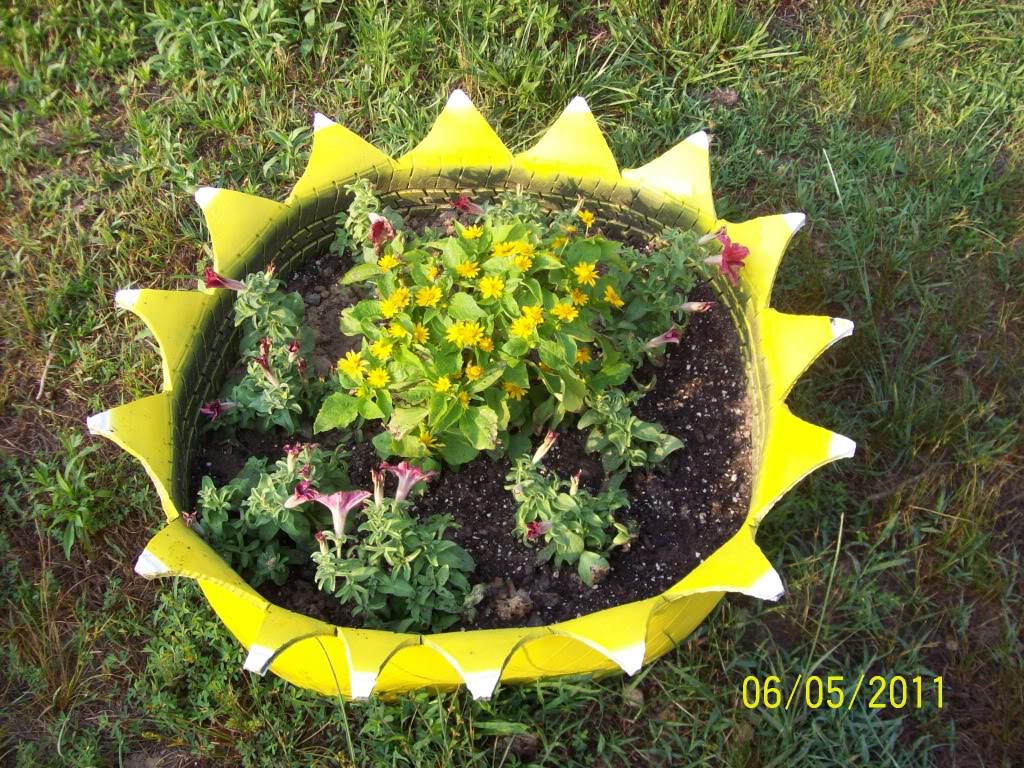 100_2542.jpg