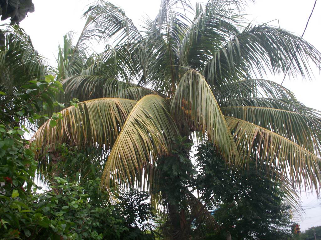 100_2550.jpg