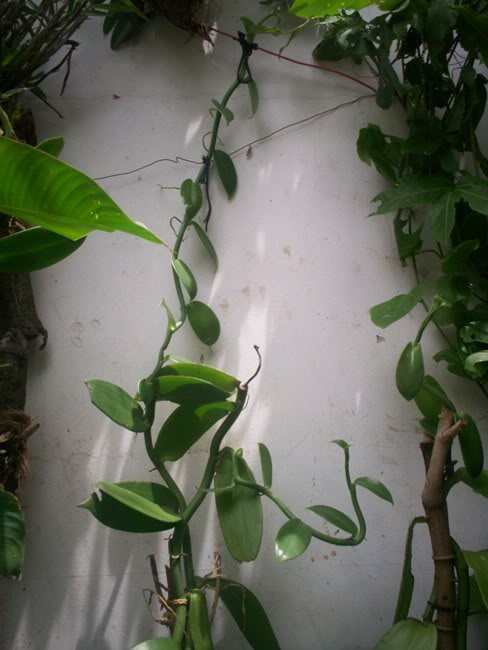 100_2558.jpg