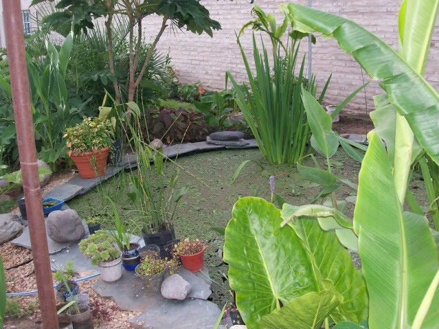 100_2573.jpg