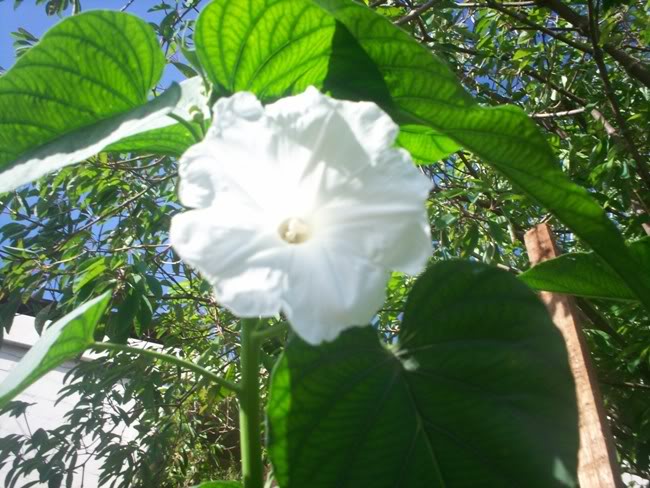 100_2580.jpg