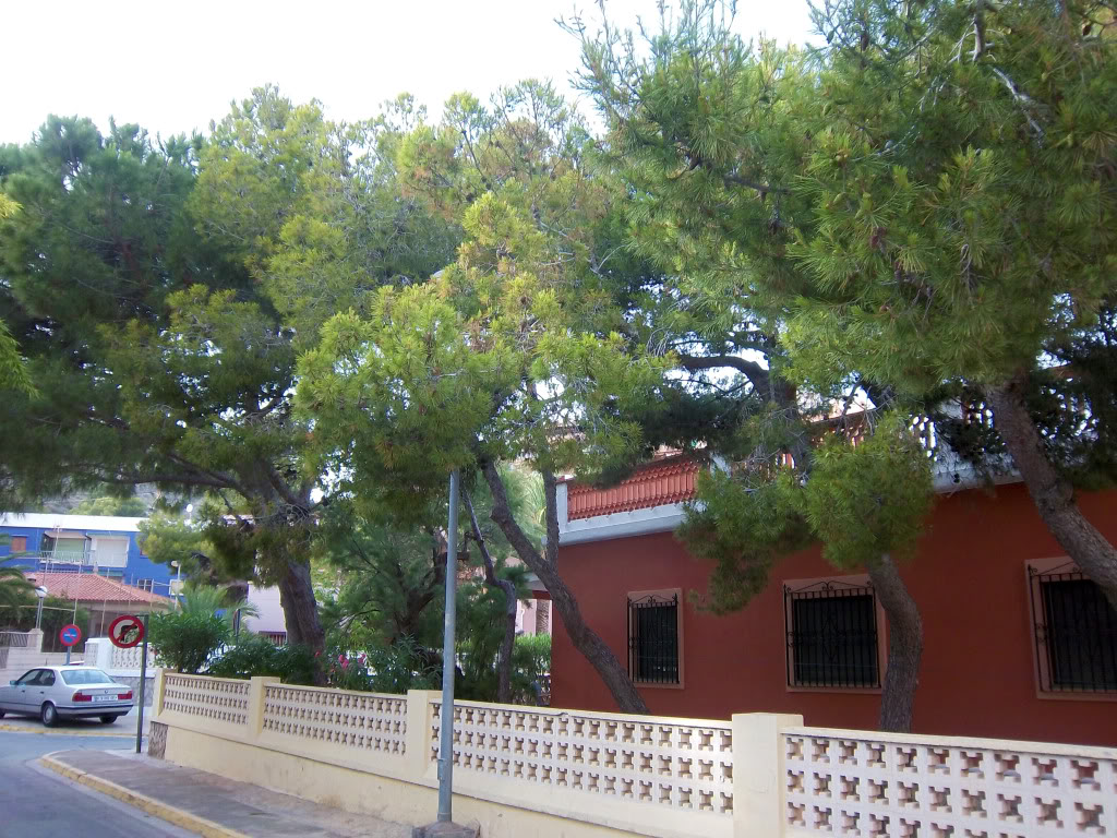 100_2596.jpg
