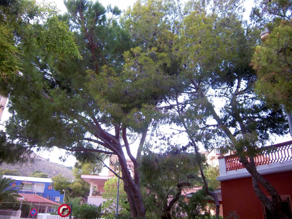 100_2597.jpg