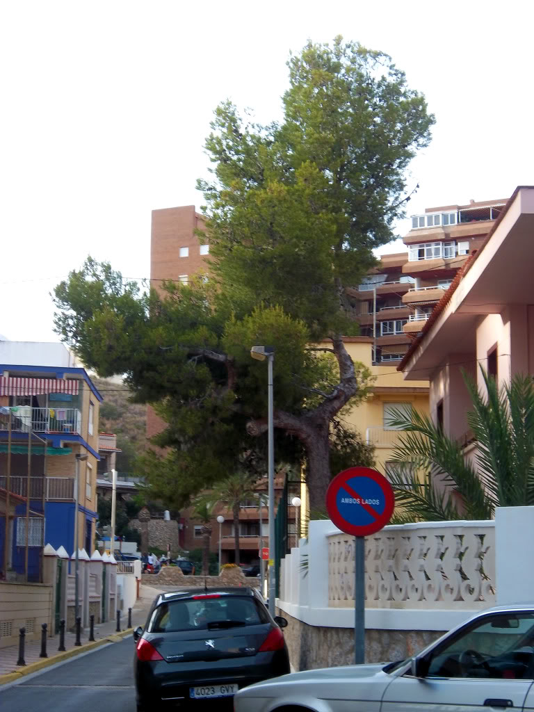 100_2600.jpg