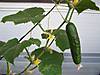 100_2601.JPG