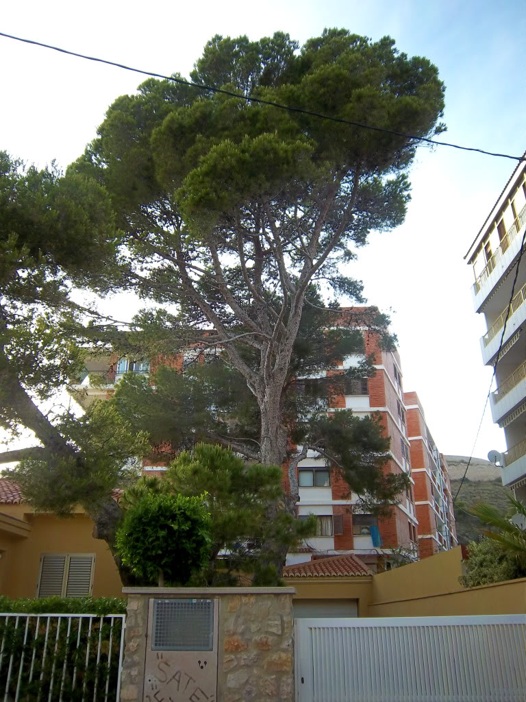 100_2602.jpg