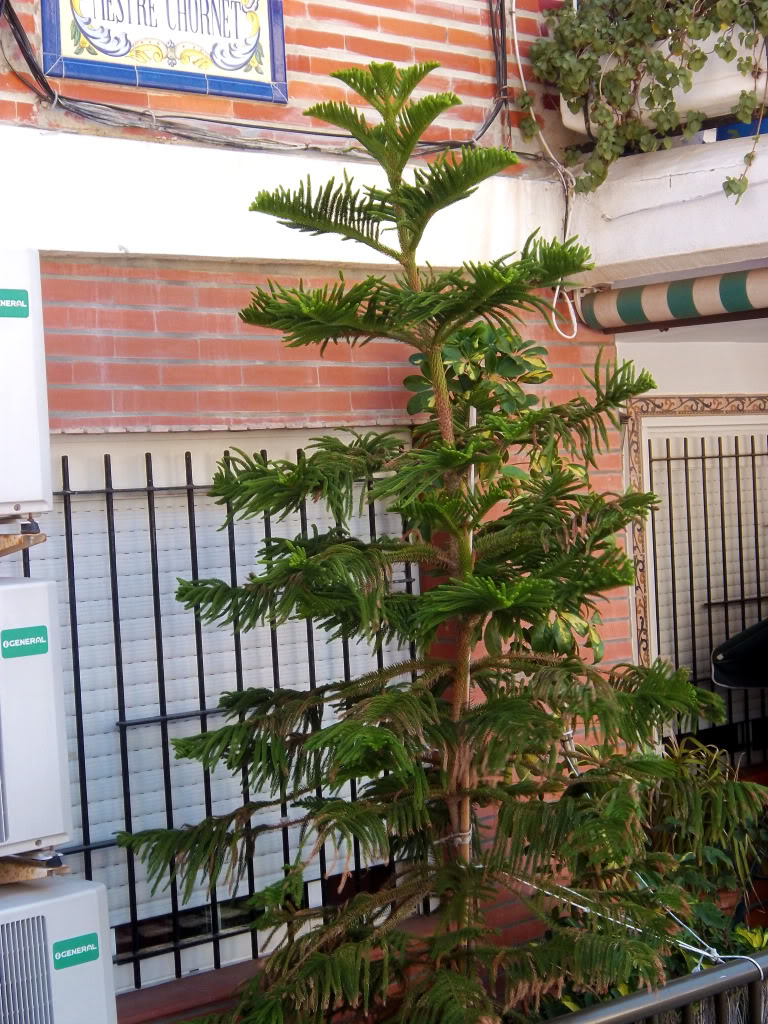 100_2611.jpg