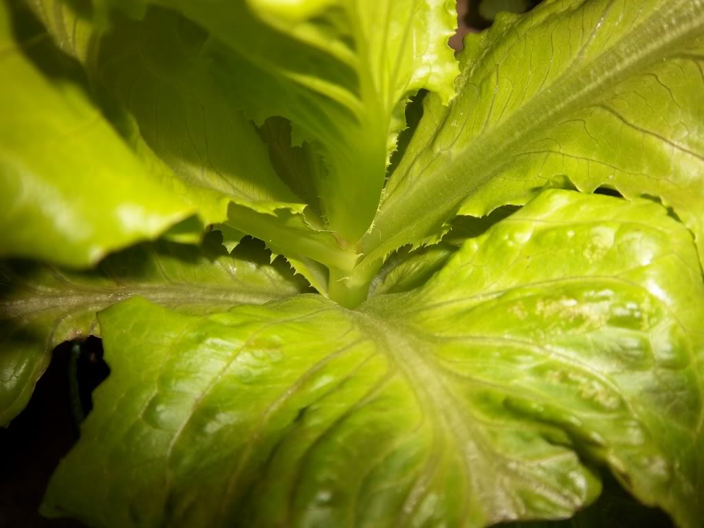 100_2631.jpg