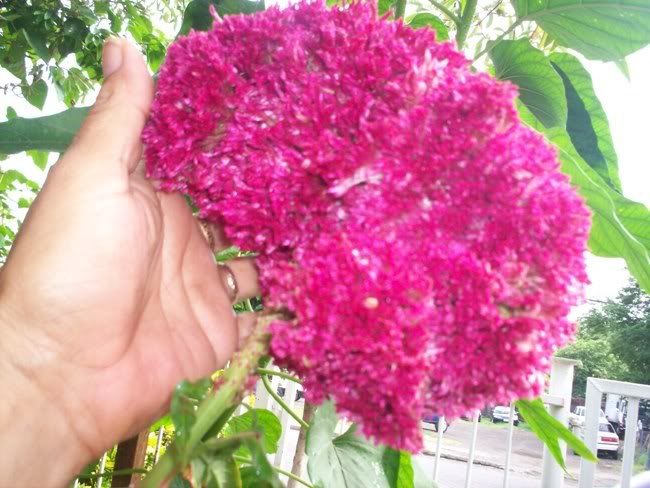 100_2649.jpg