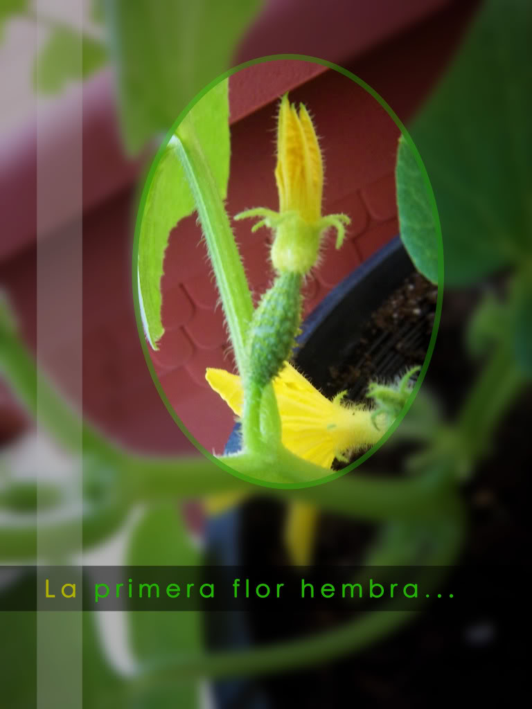 100_2672.jpg