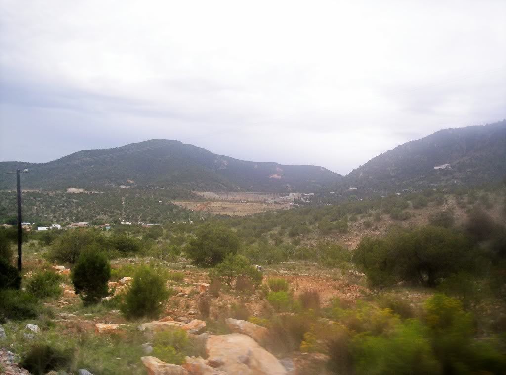 100_2674.jpg