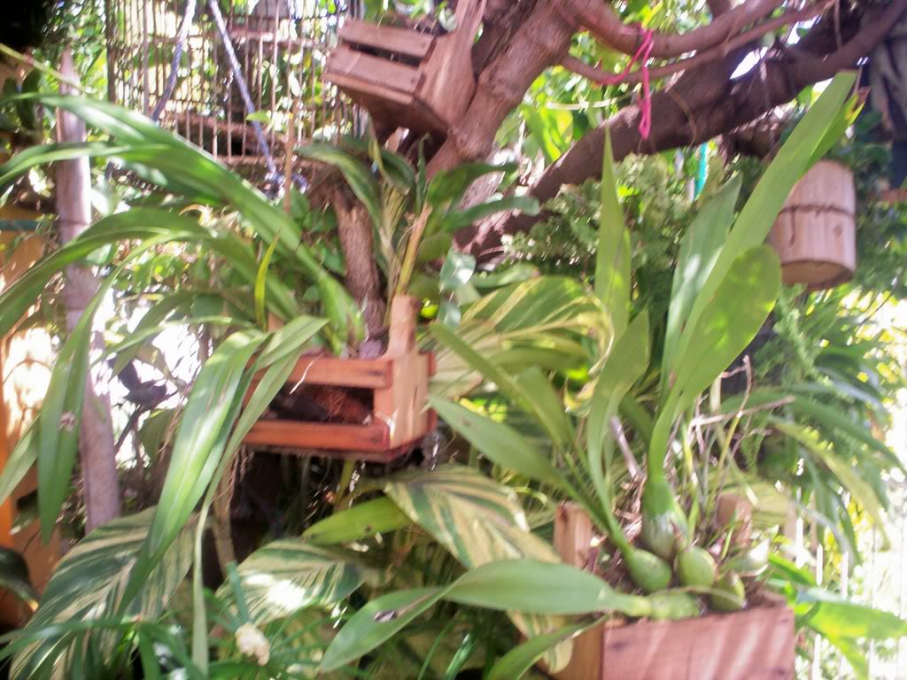100_2688.jpg
