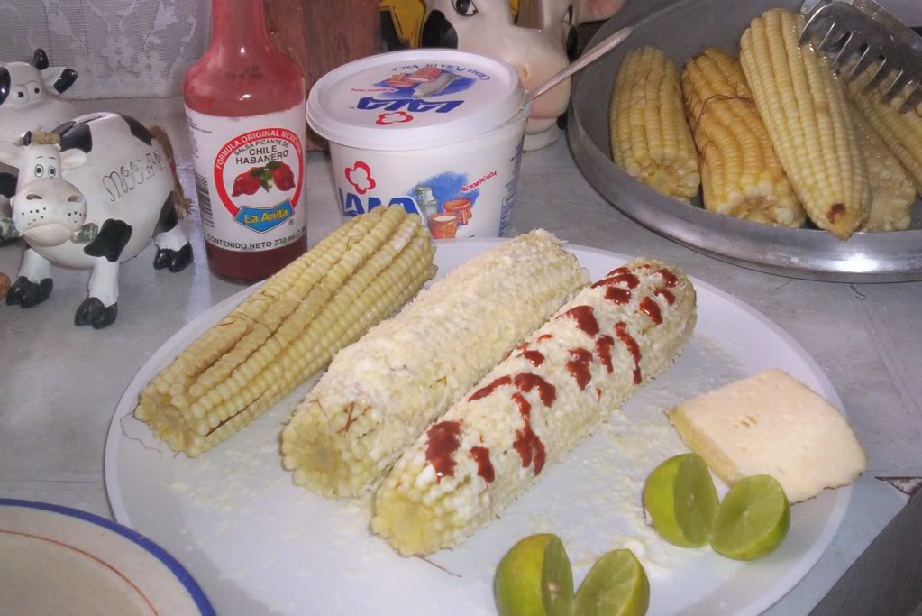 100_2711.jpg