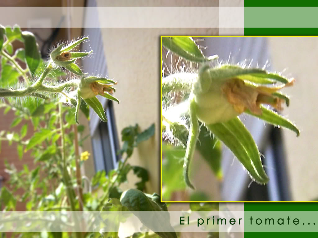 100_2720.jpg
