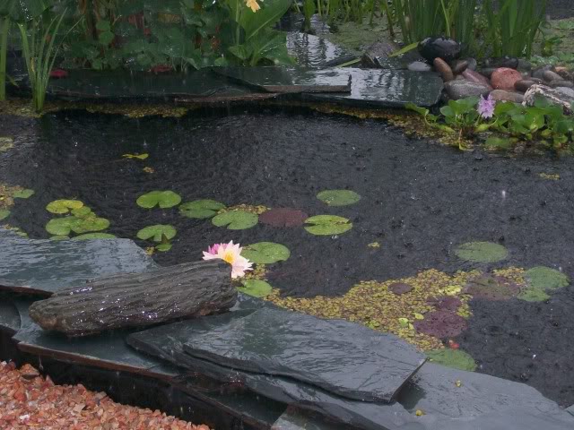 100_2746.jpg