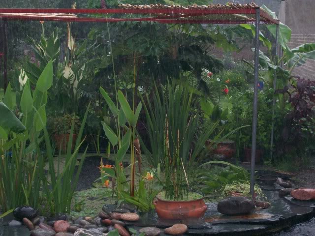 100_2747.jpg