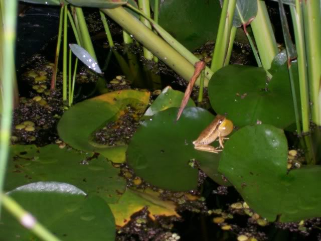 100_2758.jpg