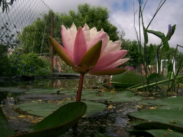 100_2766.jpg
