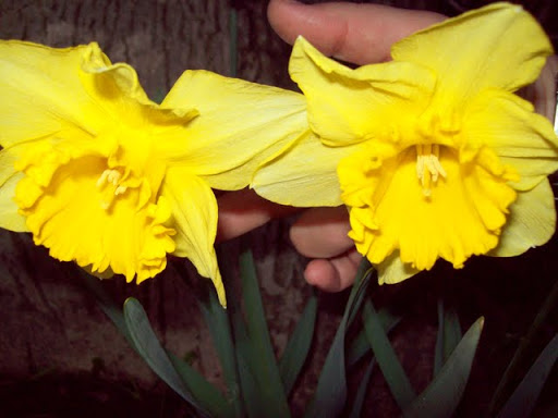 100_2779.jpg