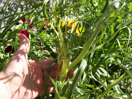 100_2817.jpg