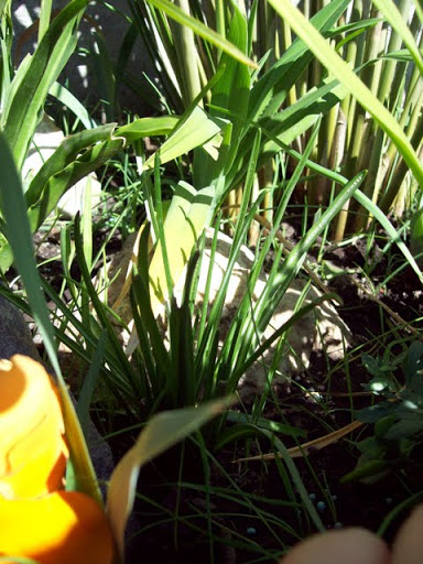 100_2821.jpg