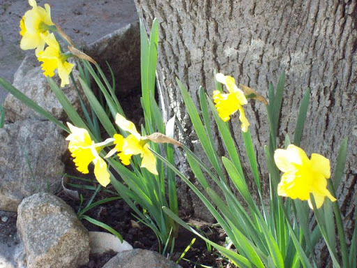 100_2825.jpg