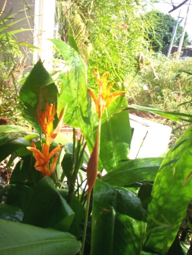 100_2865_00.jpg
