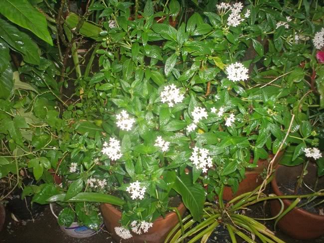 100_2881.jpg