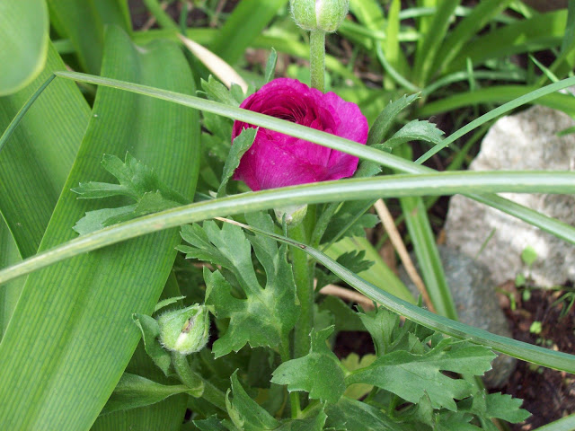 100_2905.jpg