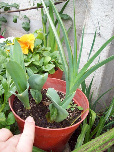 100_2918.jpg