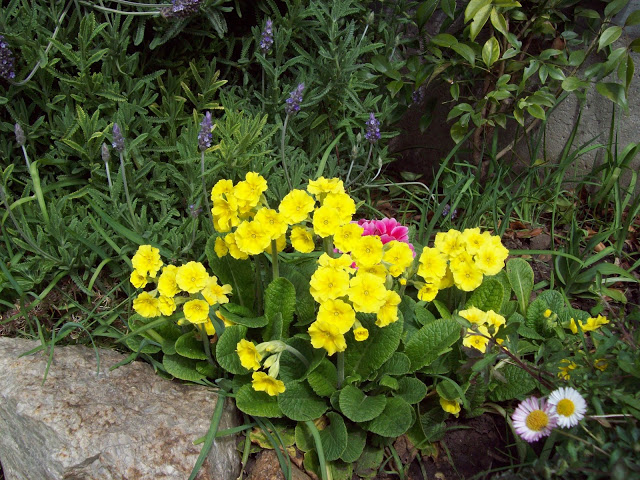 100_2979.jpg