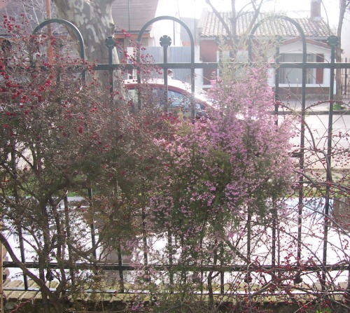 100_2983.JPG