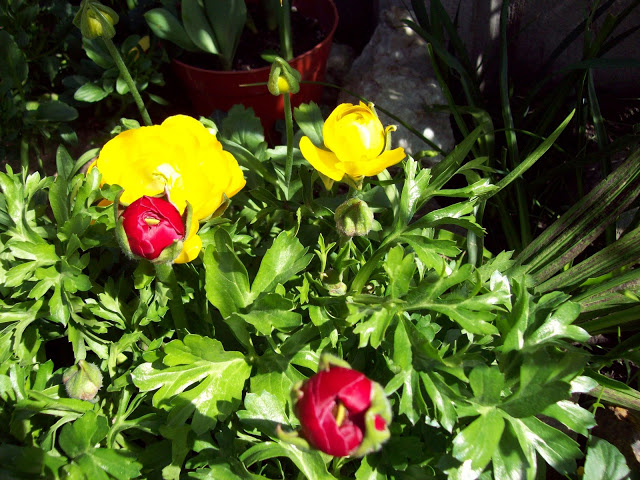 100_3002.jpg