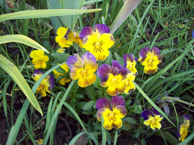 100_3043.jpg